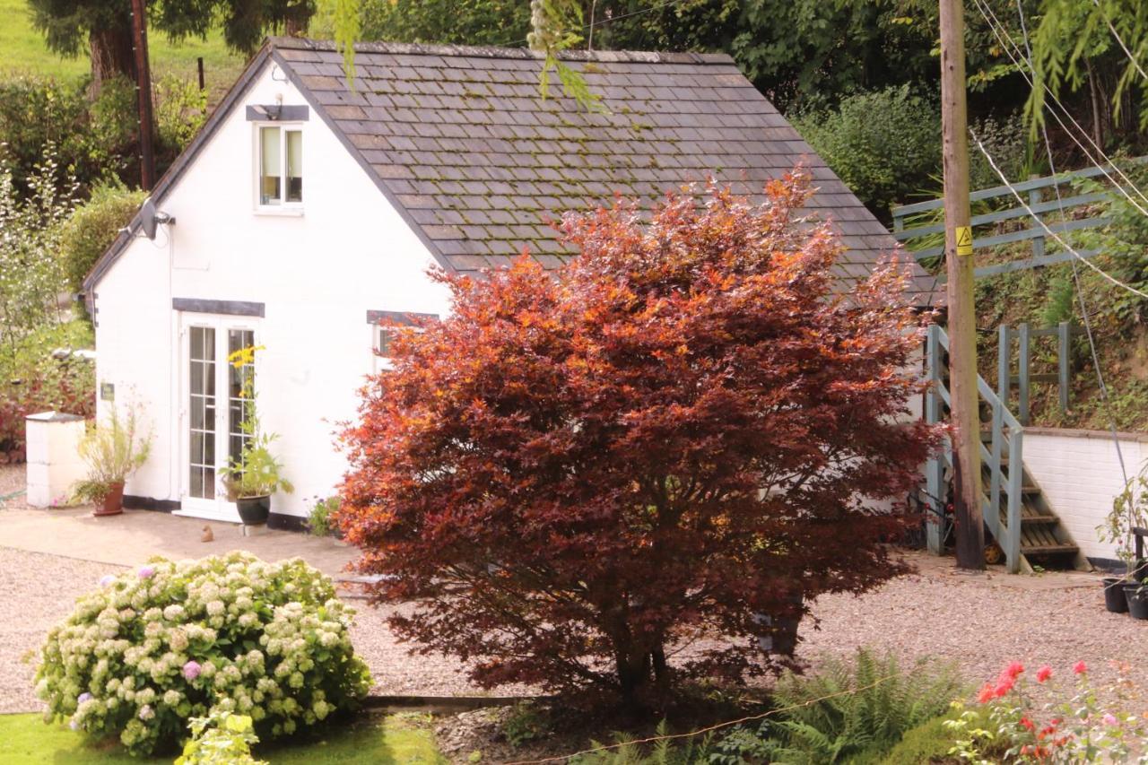 Garn Lodge Newtown  Exterior photo